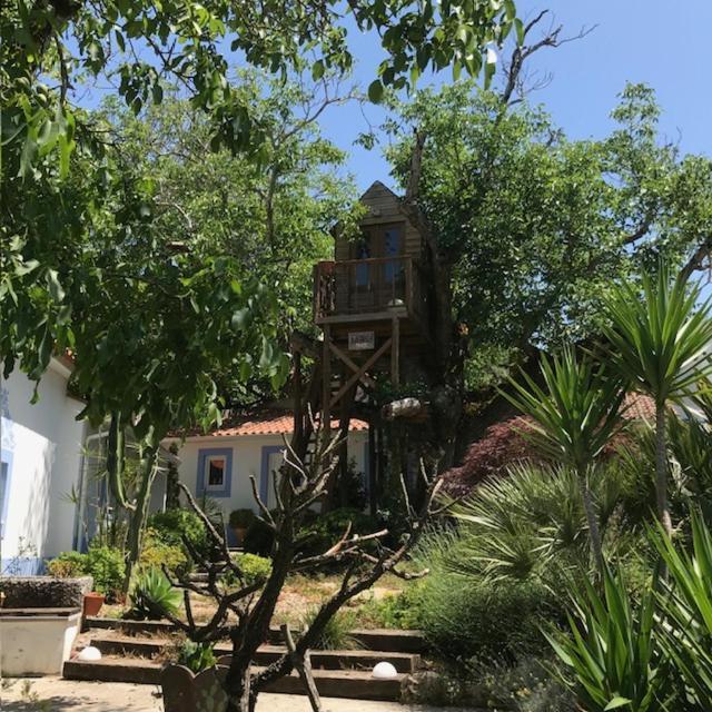 Casa Oliva - Casa Da Serra Porto de Mós Eksteriør bilde