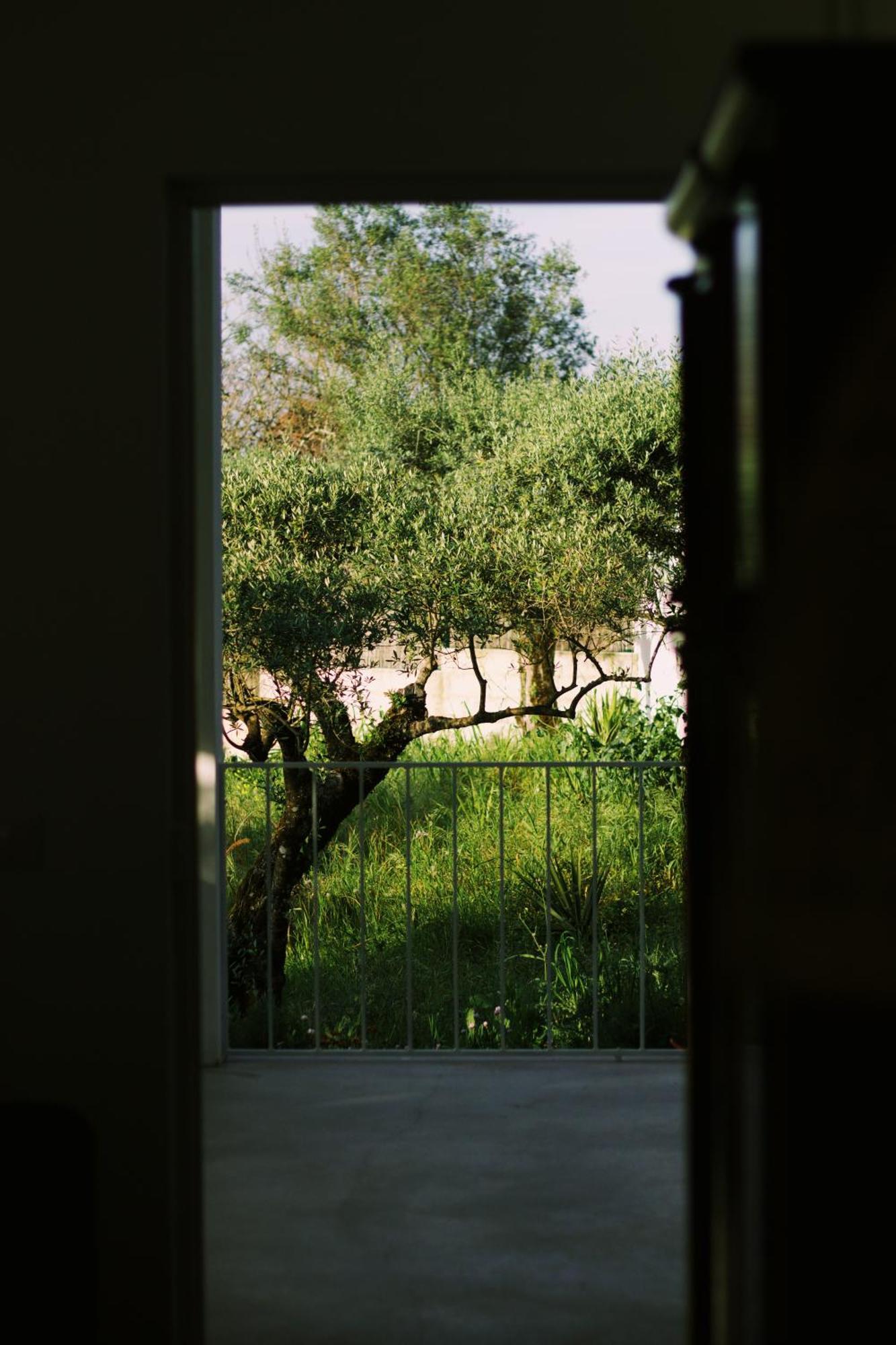 Casa Oliva - Casa Da Serra Porto de Mós Eksteriør bilde