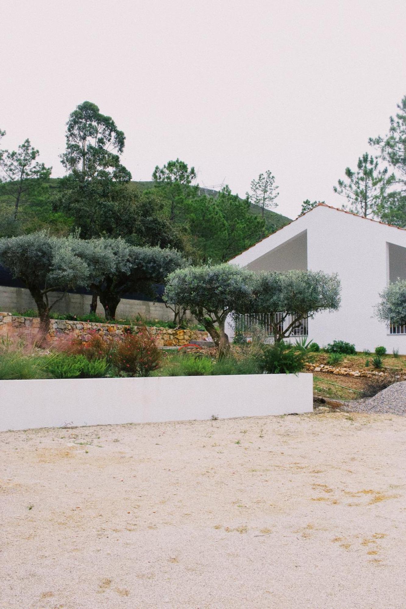 Casa Oliva - Casa Da Serra Porto de Mós Eksteriør bilde